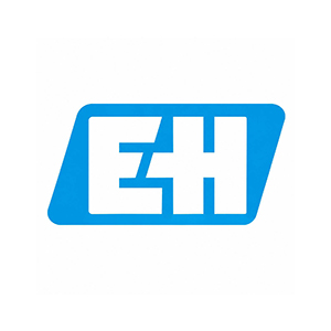  Endress+Hauser